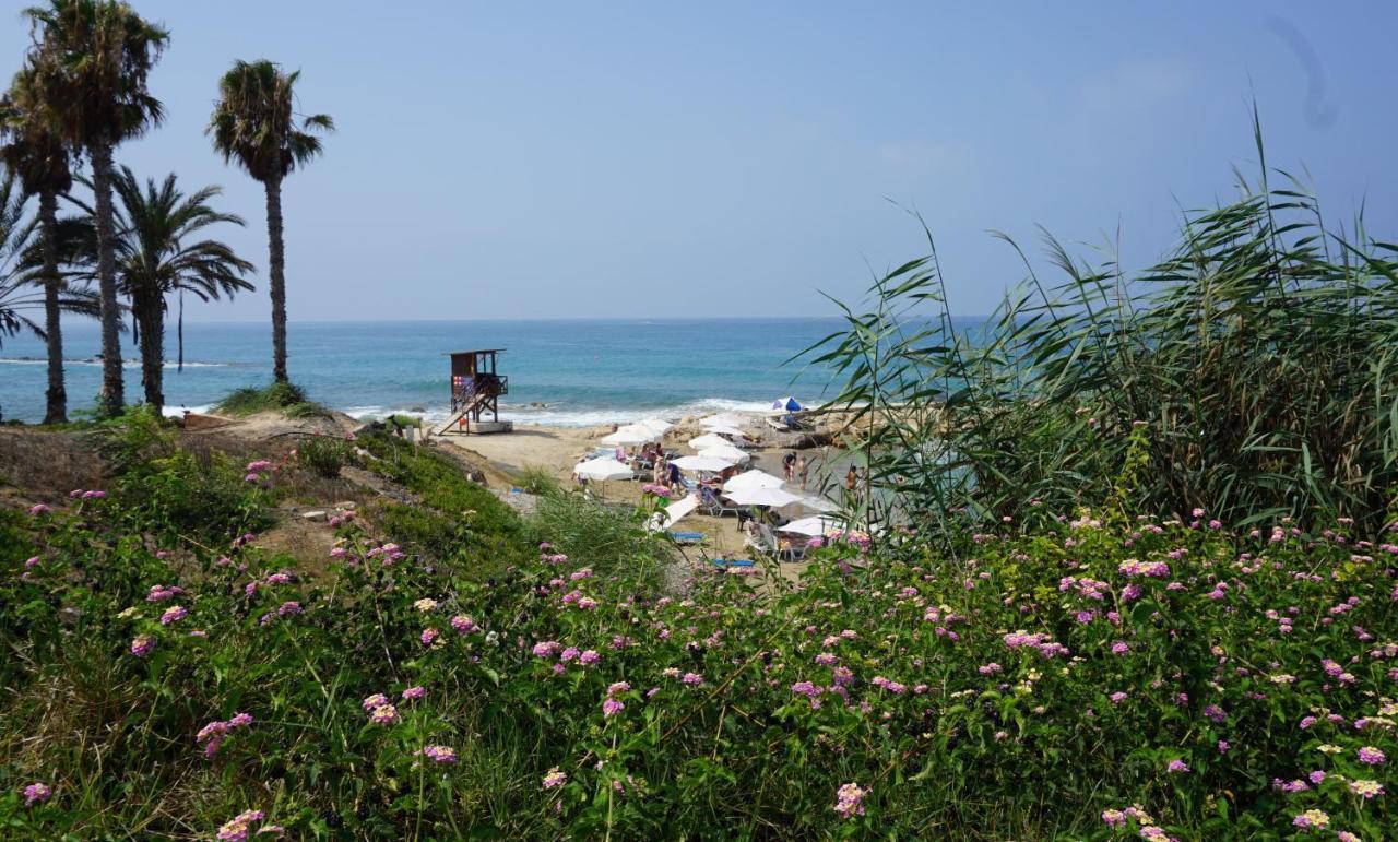 Paphos Gardens, Near Beach Екстериор снимка